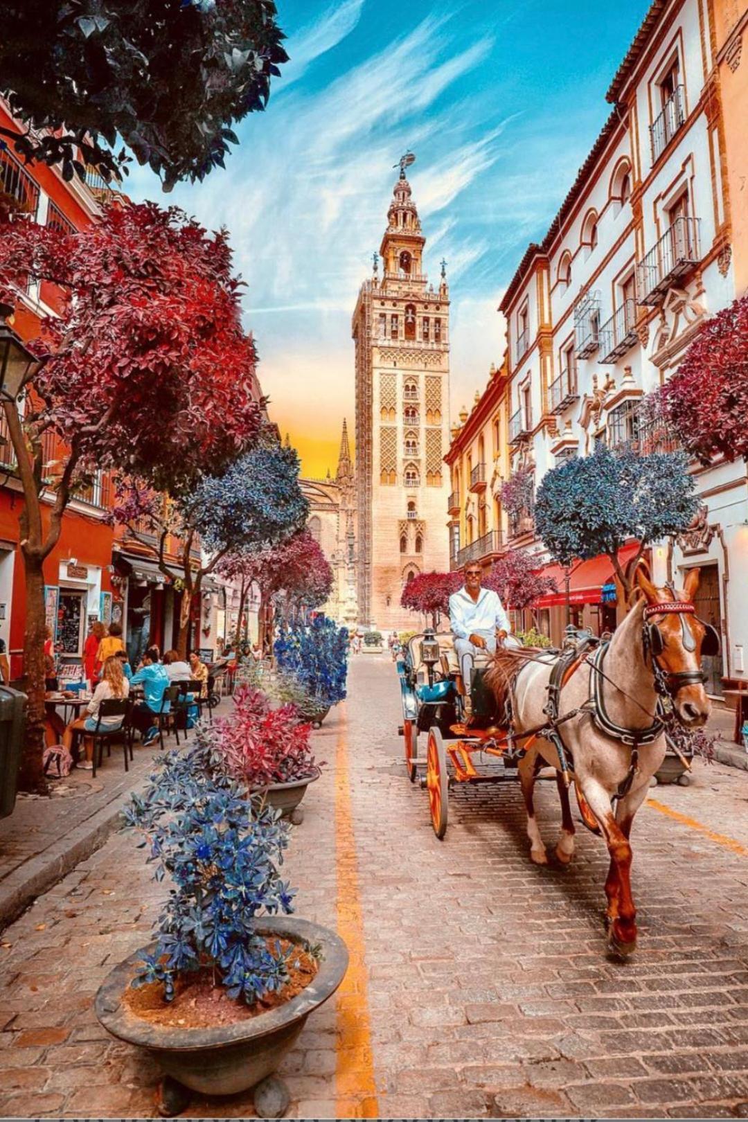Ole Triana Apartment Seville Luaran gambar